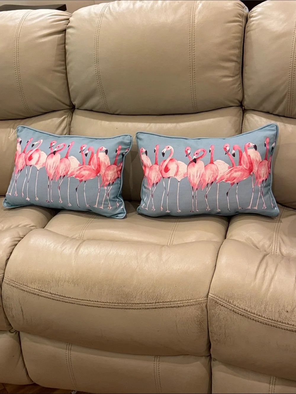 Decorative Flamingo Accent Pillow Pair - Pink on Blue